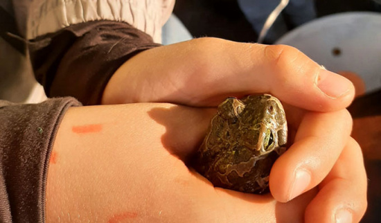 Foto: NABU Wittichenau