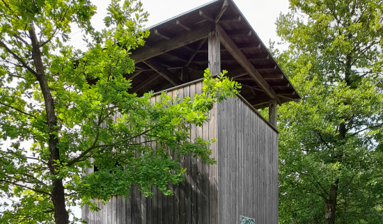 NABU-Beobachtungsturm Dubringer Moor Foto: Herbert Schnabel